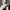 Person walking with a green Era 30oz straw tumbler