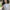 Woman holding a beige Era 40oz tumbler outdoors with a blurred natural background