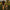 Man and young girl walking with bright pink Leap 12oz tumbler together in a park with palm trees in the background