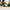 Green and blue Leap 12oz tumbler on a wooden floor with children playing in the background